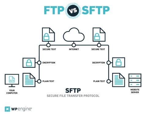 ssftw|Ssftw .
